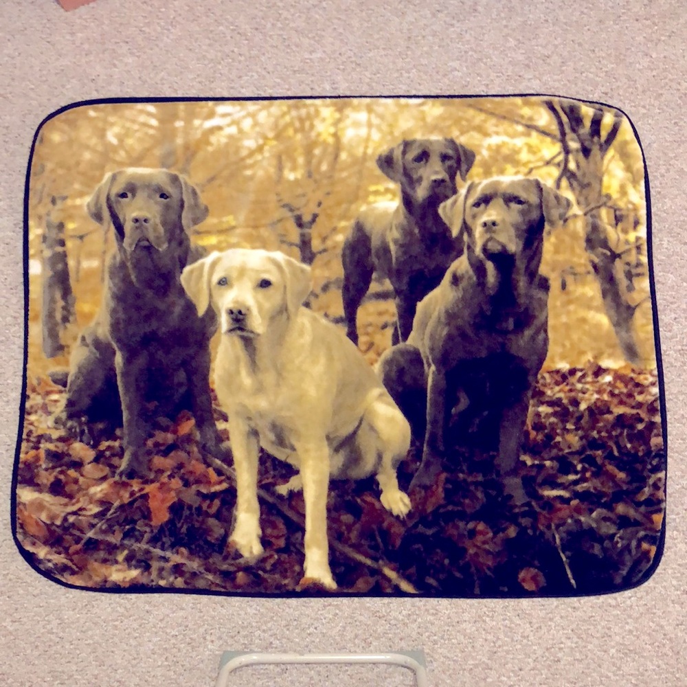 Labrador Retrievers Raschel Throw Blanket